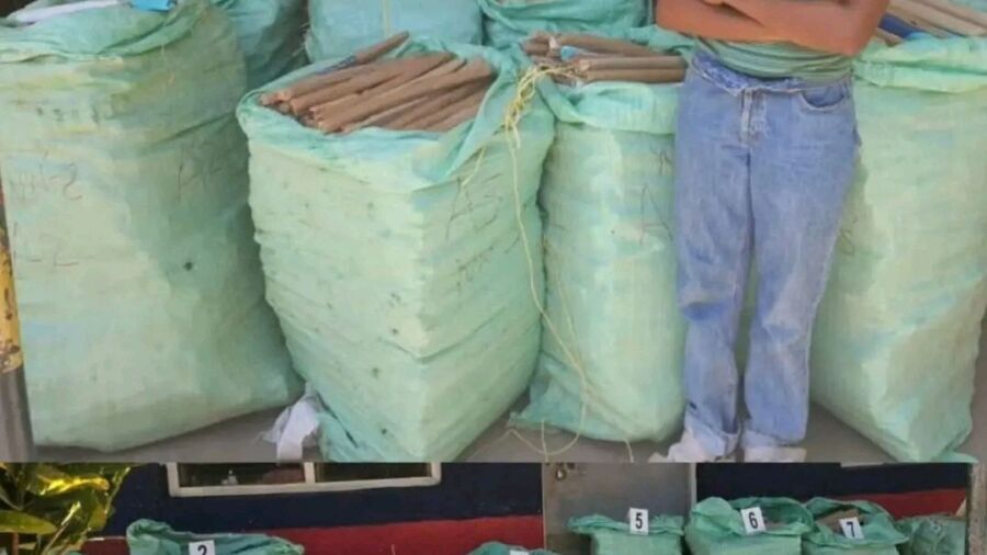 29-Year-Old Woman Arrested in Kilifi with Ksh 7.6 Million Bhang: Jimba Drug Bust Details